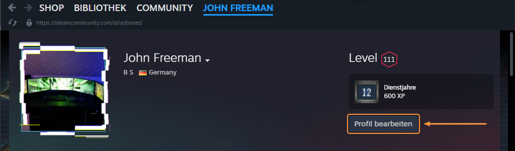 Steamprofil mit Profilbild und Kopfbereich: Ein orangefarbener Pfeil markiert rechts den Button Edit Profile.